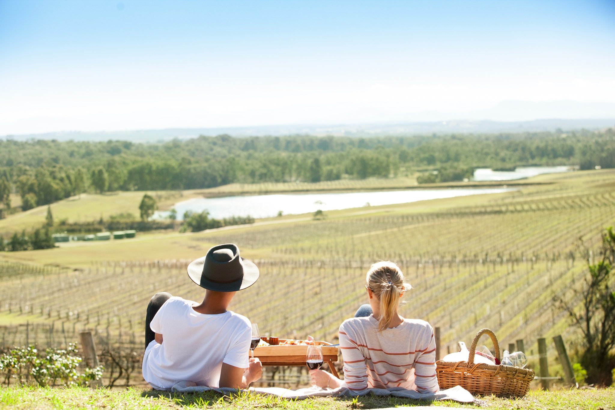 Audrey Wilkinson Vineyard, Pokolbin, New South Wales, photo 2