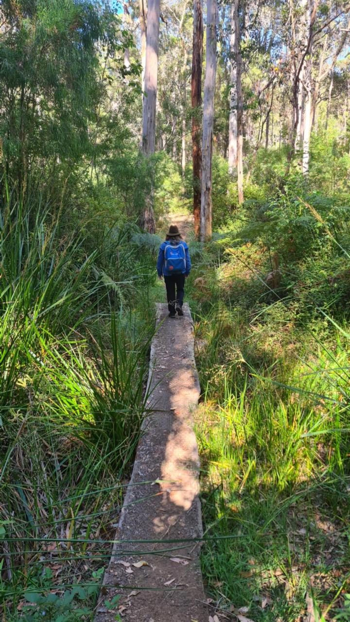 WILD Ones Forest School & Adventures
