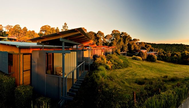 O'Reilly's Rainforest Retreat