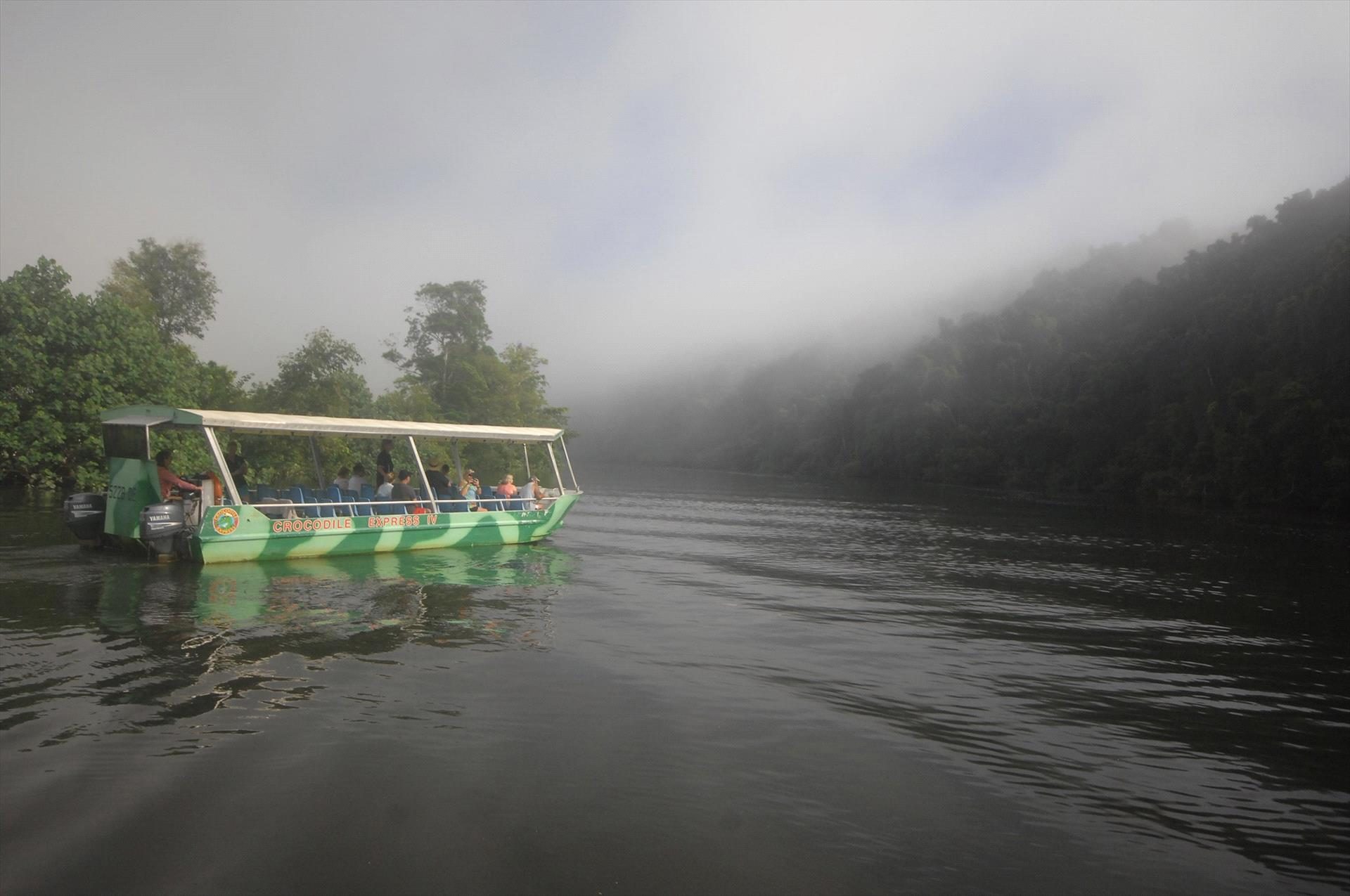Crocodile Express Daintree River Cruises, Daintree, Queensland, photo 2
