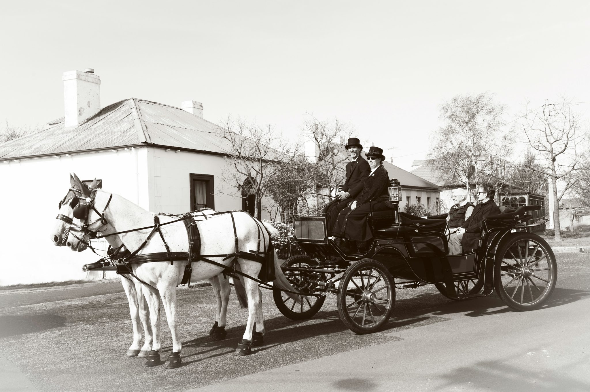 Heritage Horse Drawn Carriages