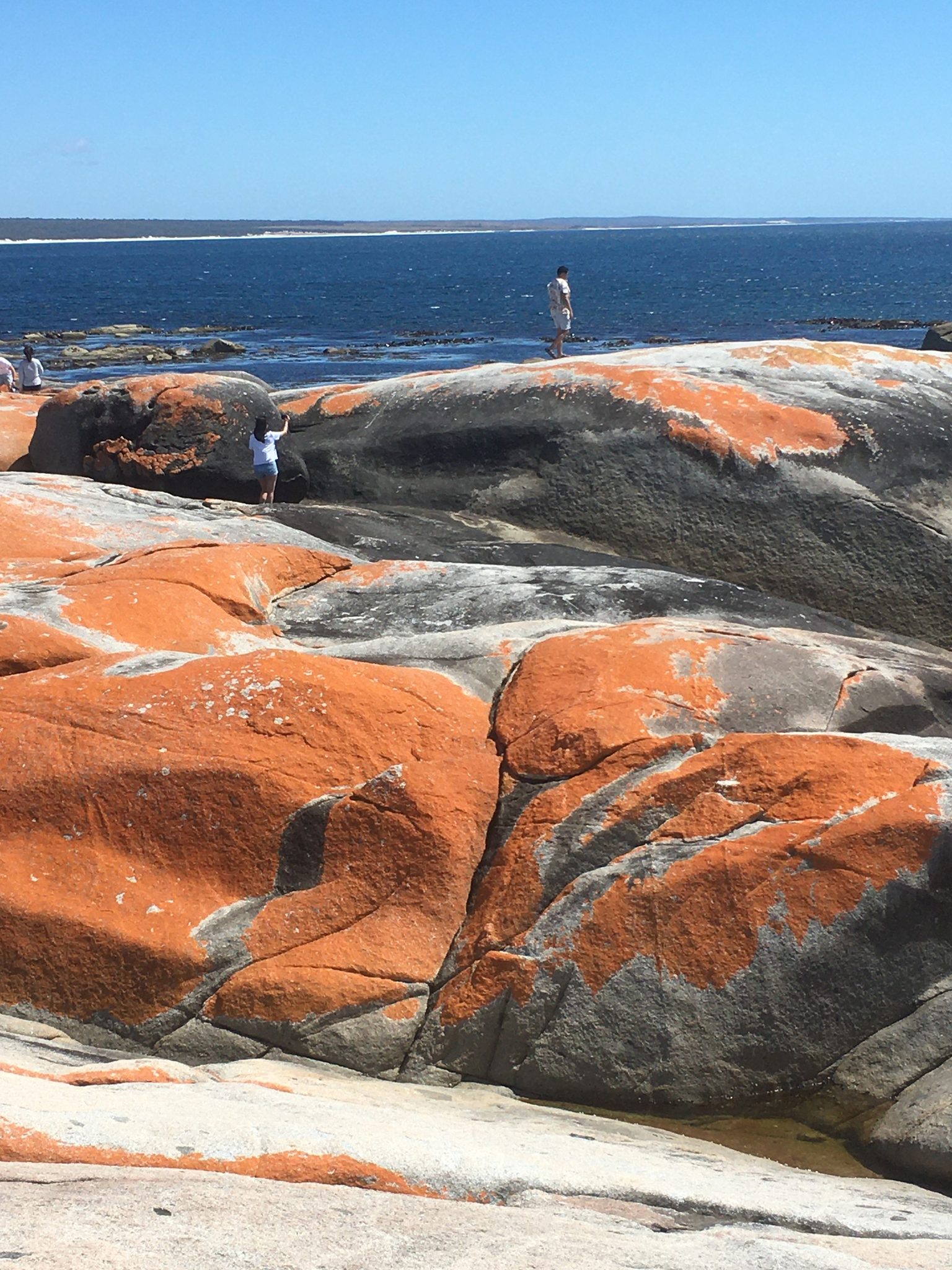 Discover Tasmania Tours