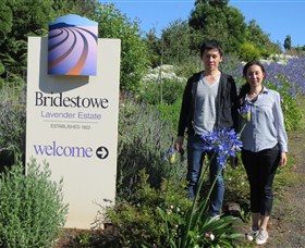 Discover Tasmania Tours, Westbury, Tasmania, photo 2