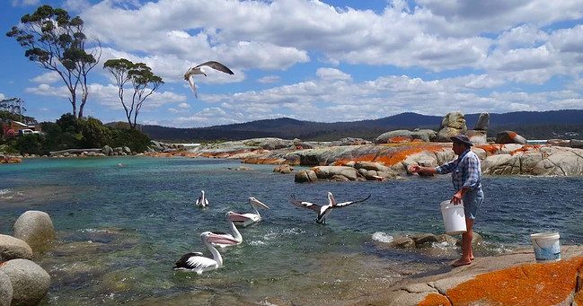 Discover Tasmania Tours