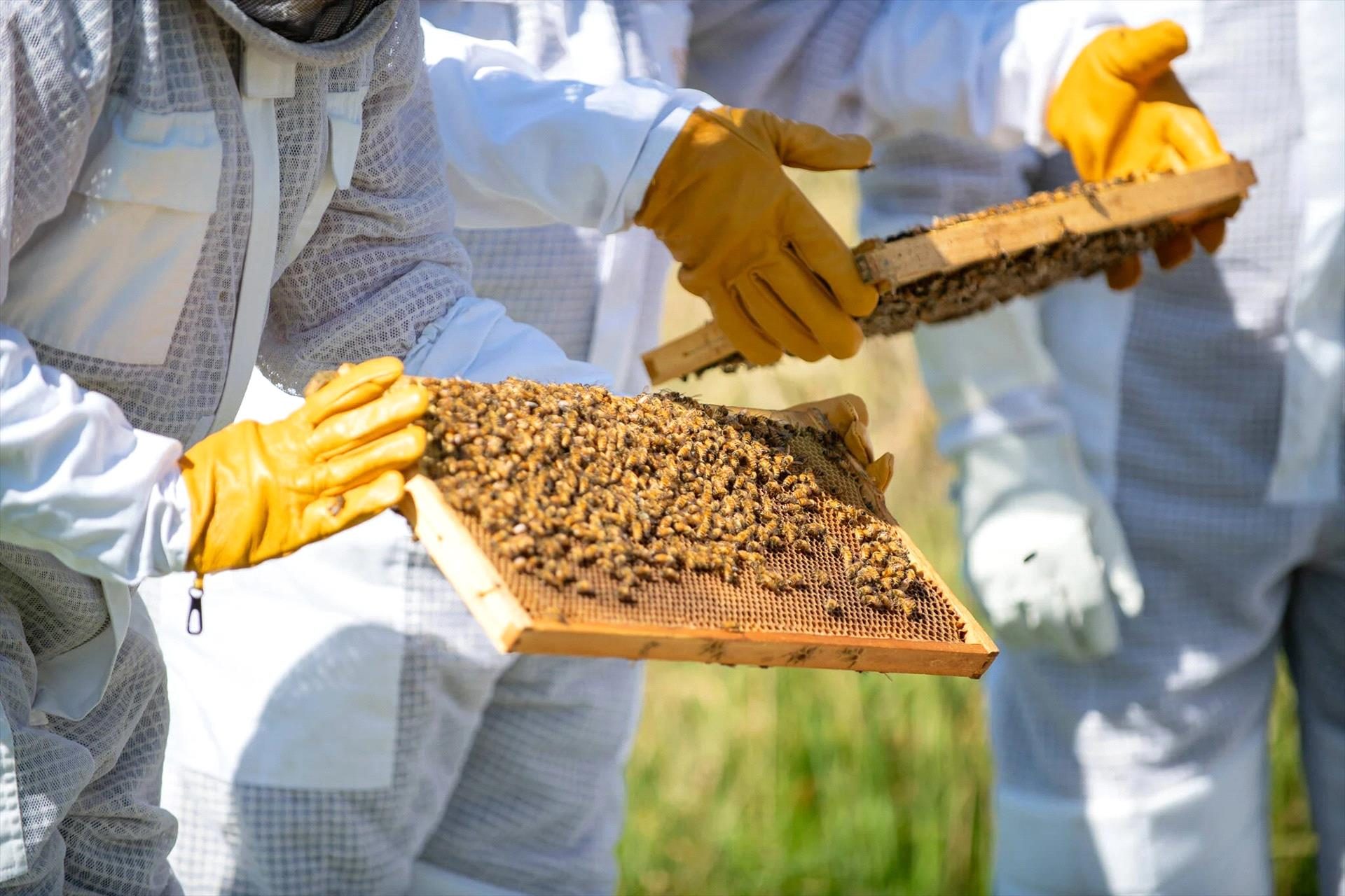 Bowral Honey Farm