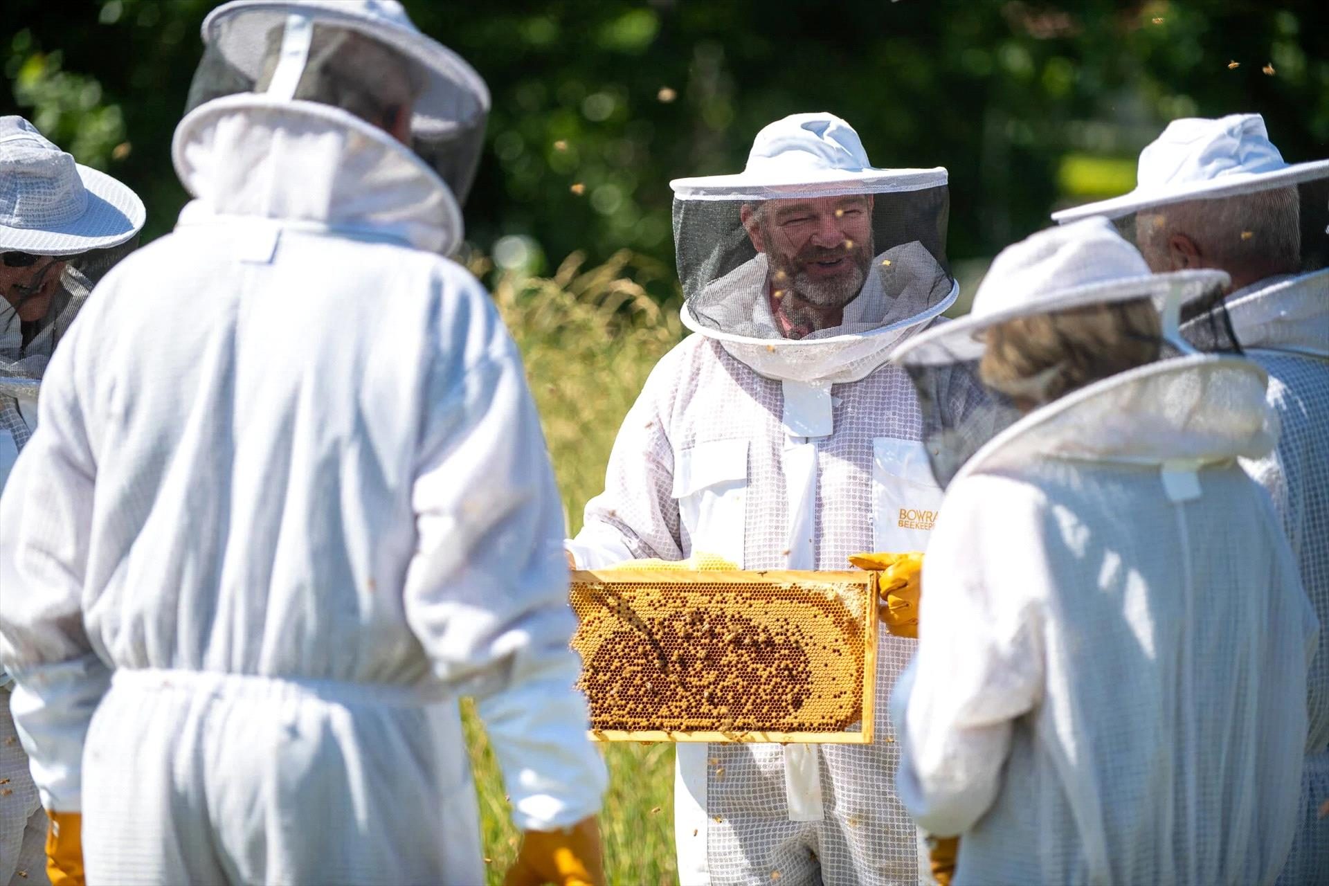 Bowral Honey Farm, Bowral, New South Wales, photo 5