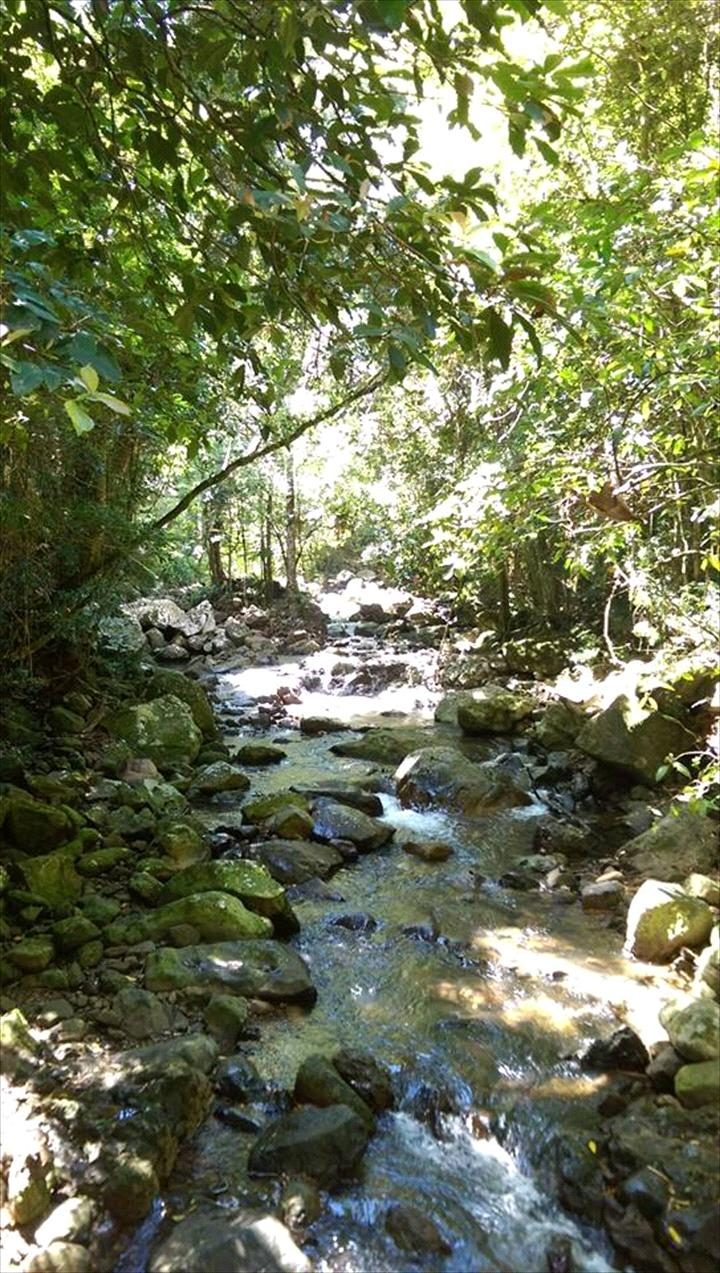 Bushwacker Eco Tours, Scarborough, Queensland, photo 6