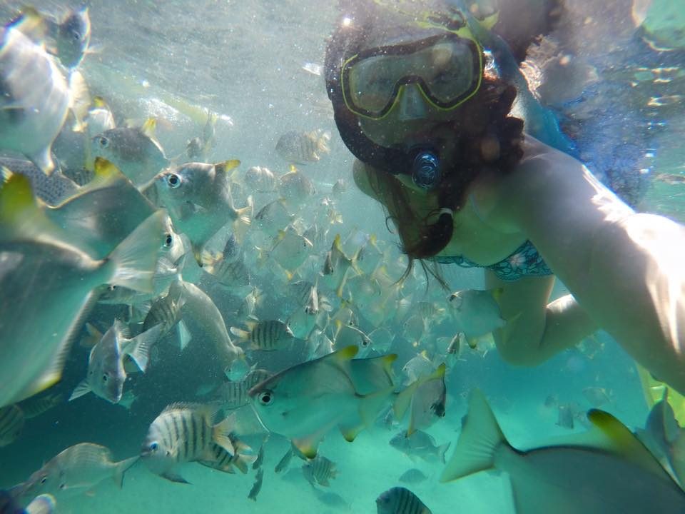 Bushwacker Eco Tours, Scarborough, Queensland, photo 4