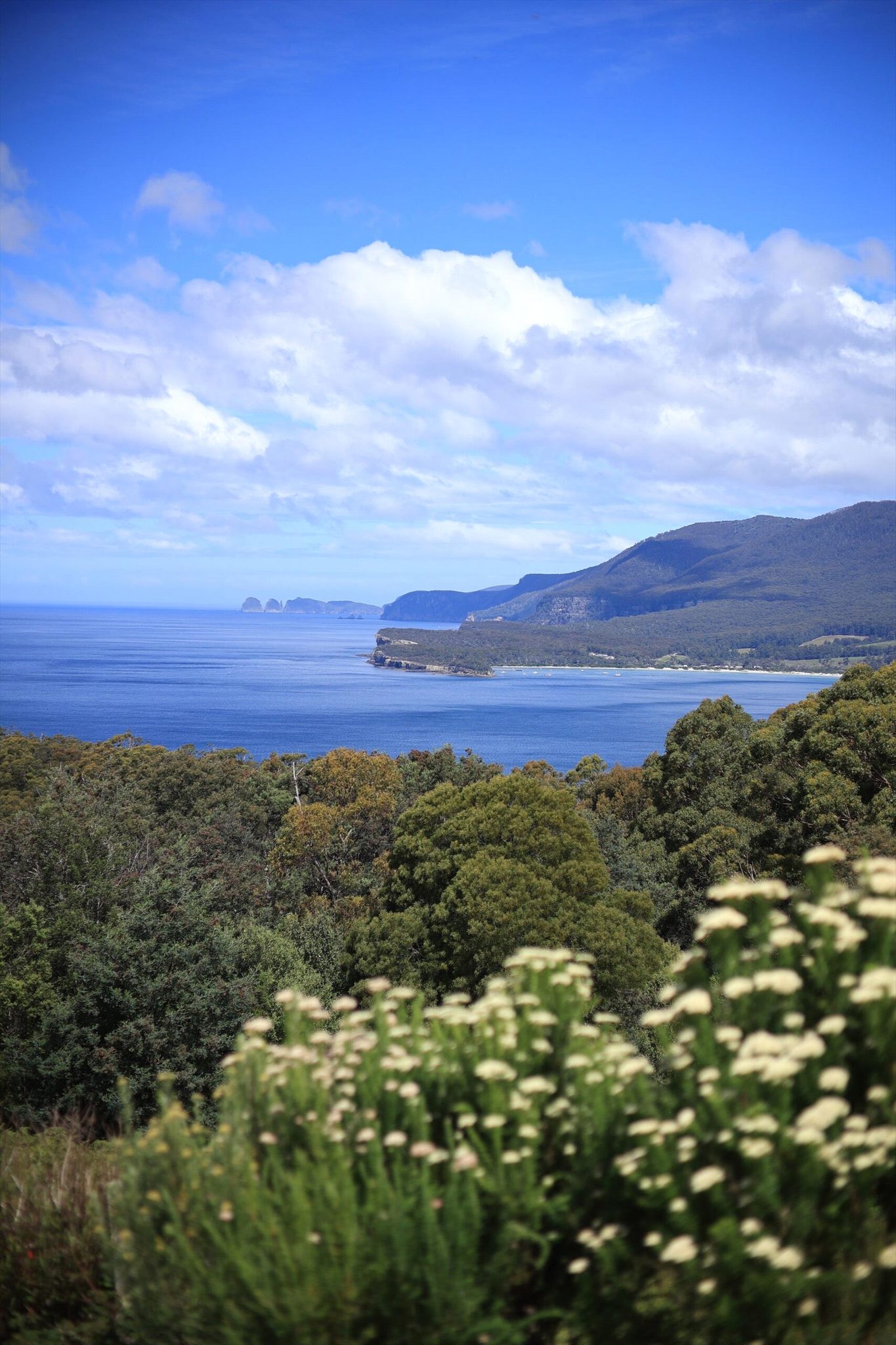 Wild Escapes Tasmania