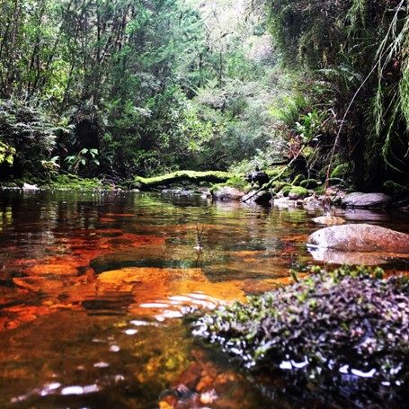 RoamWild Tasmania, Queenstown, Tasmania, photo 4