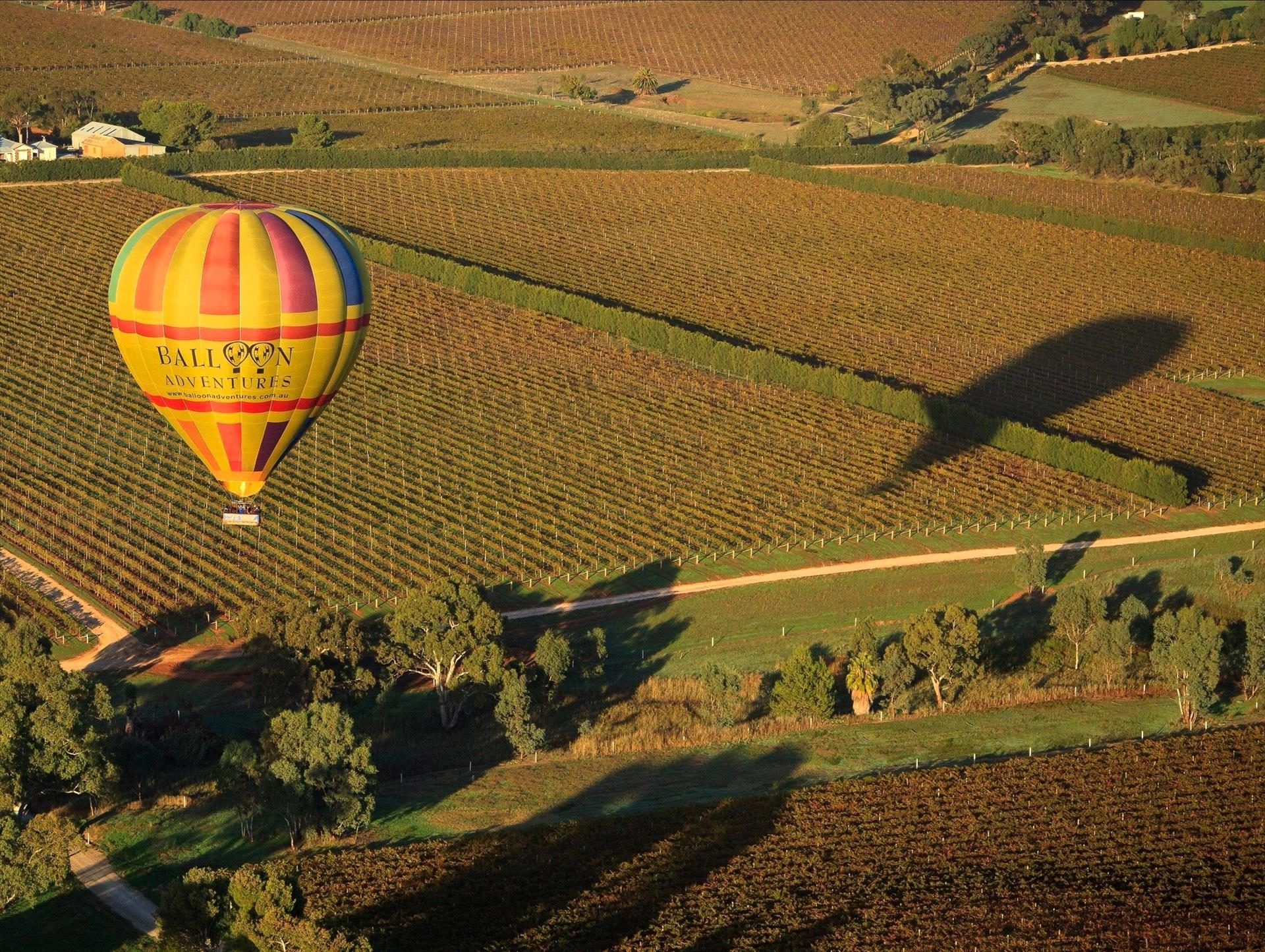 Barossa Balloon Adventures, NURIOOTPA, South Australia, photo 6