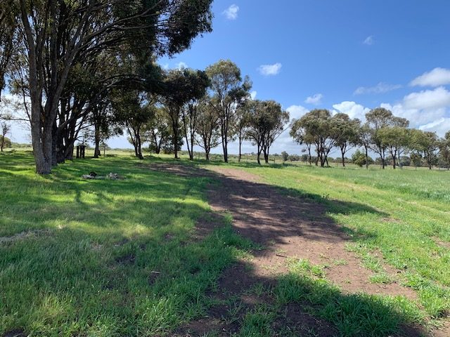 Mallee Manor — Dongara, WA