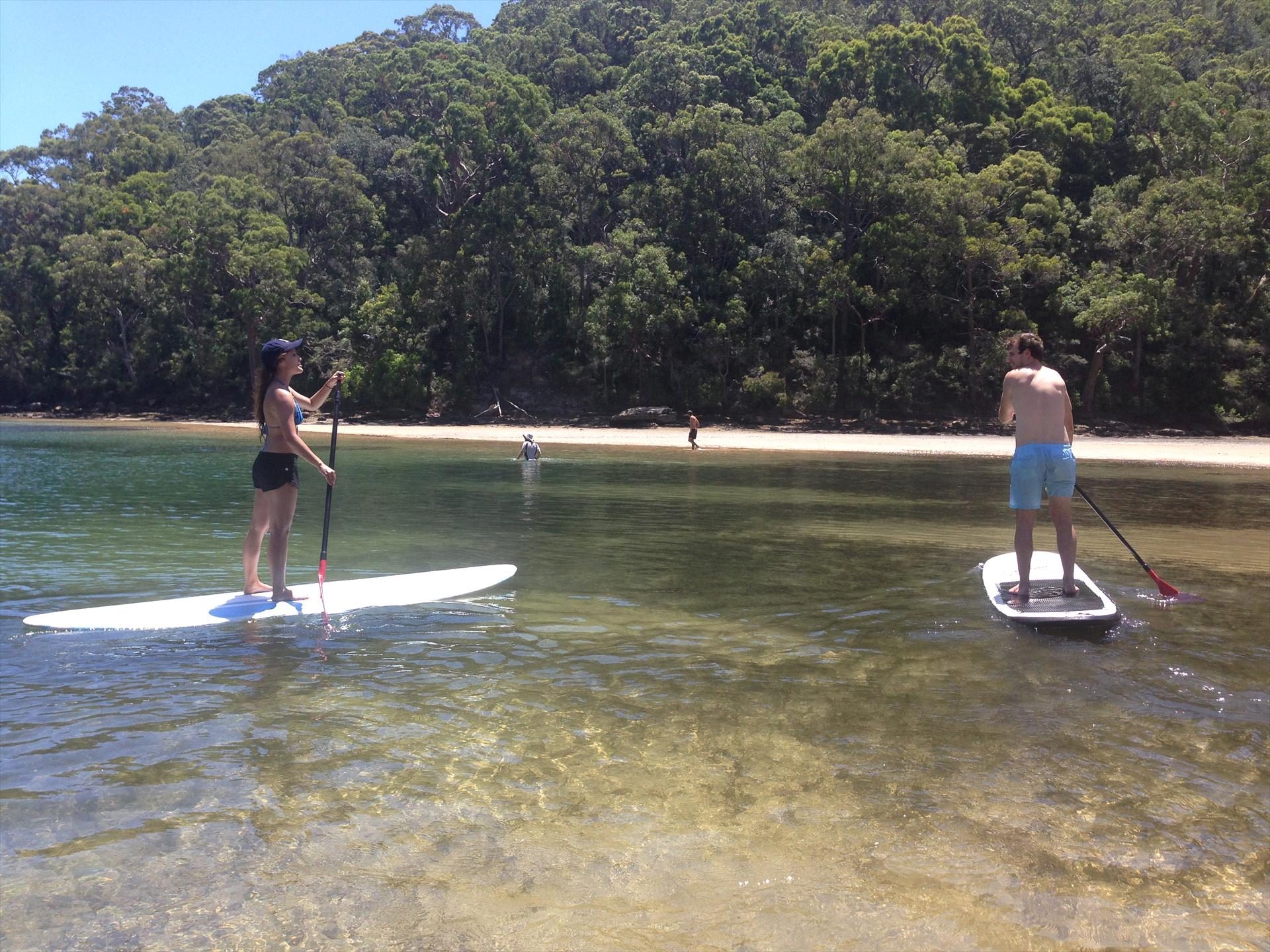EcoTreasures, Narrabean, New South Wales, photo 4