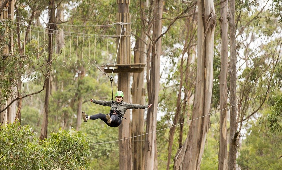 Live Wire Park