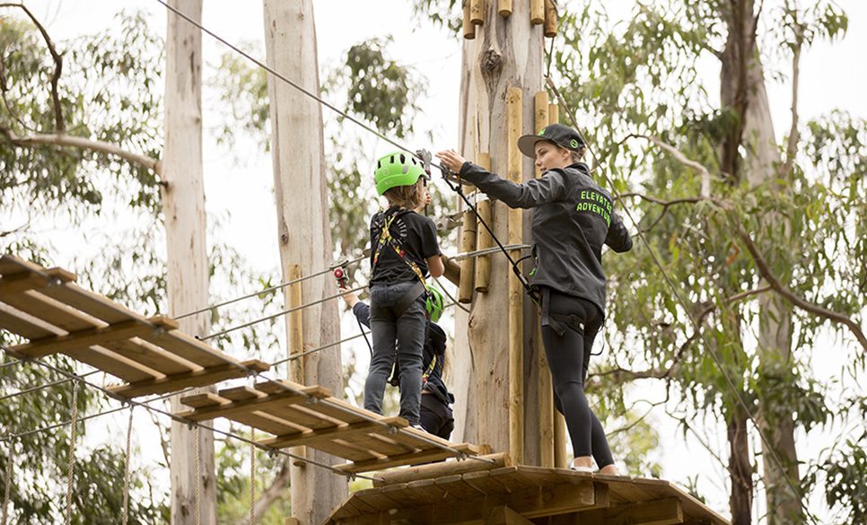 Live Wire Park