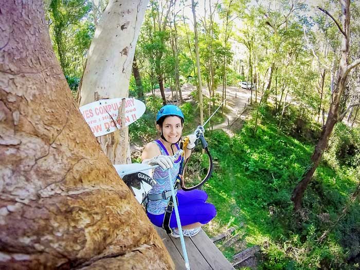 Treetop Challenge