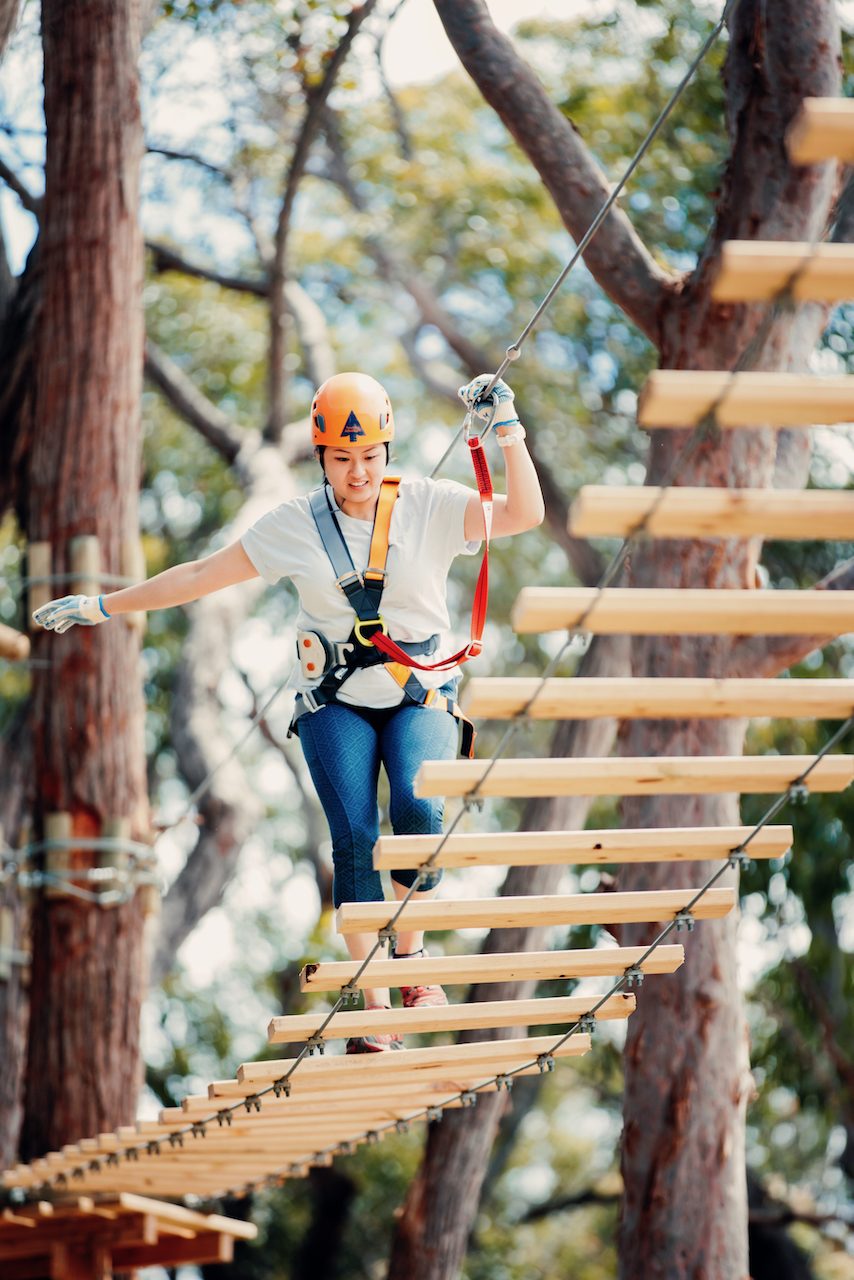 Treetops Adventure Central Coast
