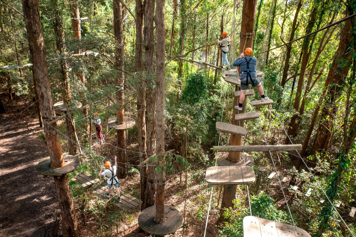 Treetops Adventure Central Coast, Wyong Creek, New South Wales, photo 5
