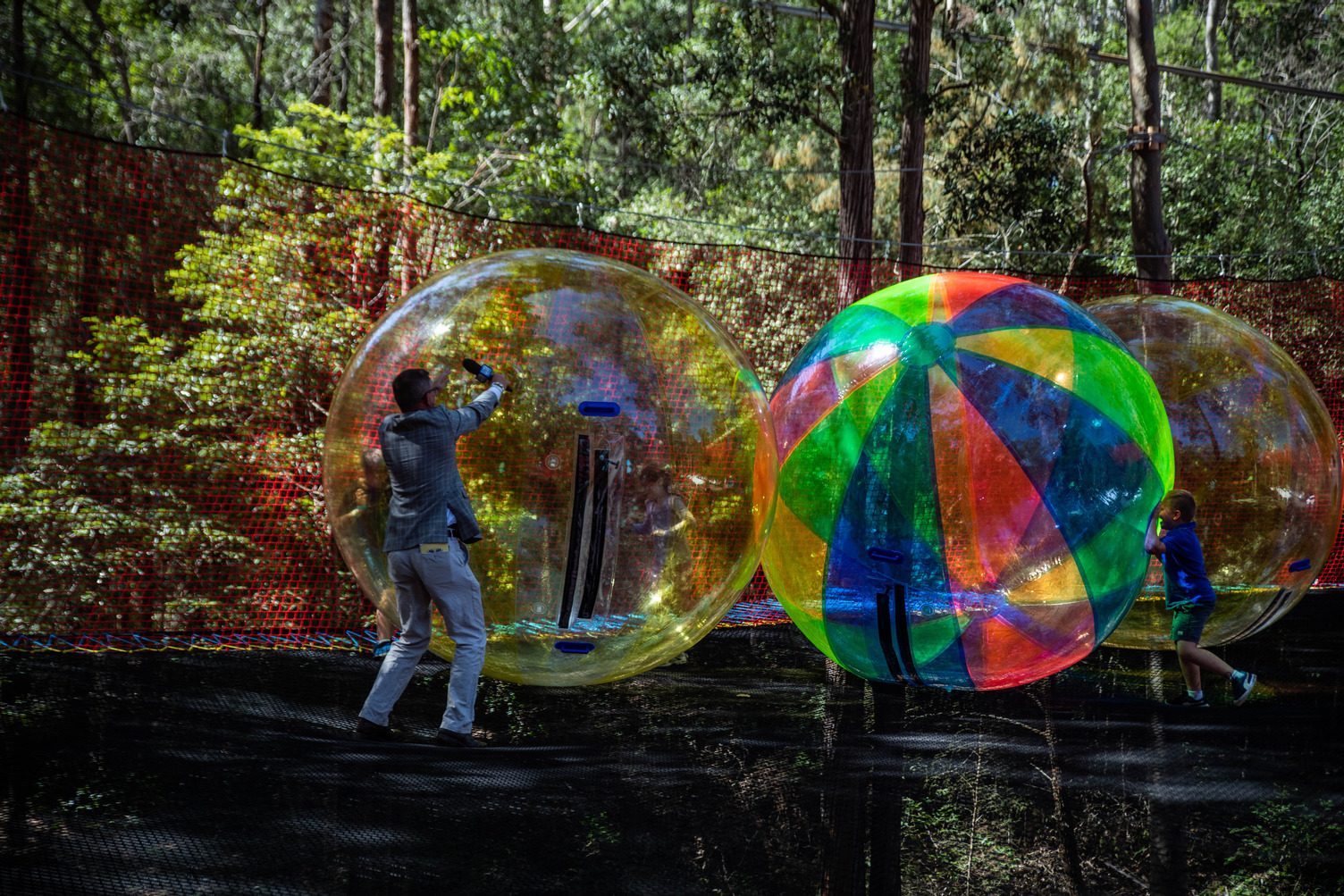 Treetops Adventure Central Coast, Wyong Creek, New South Wales, photo 6
