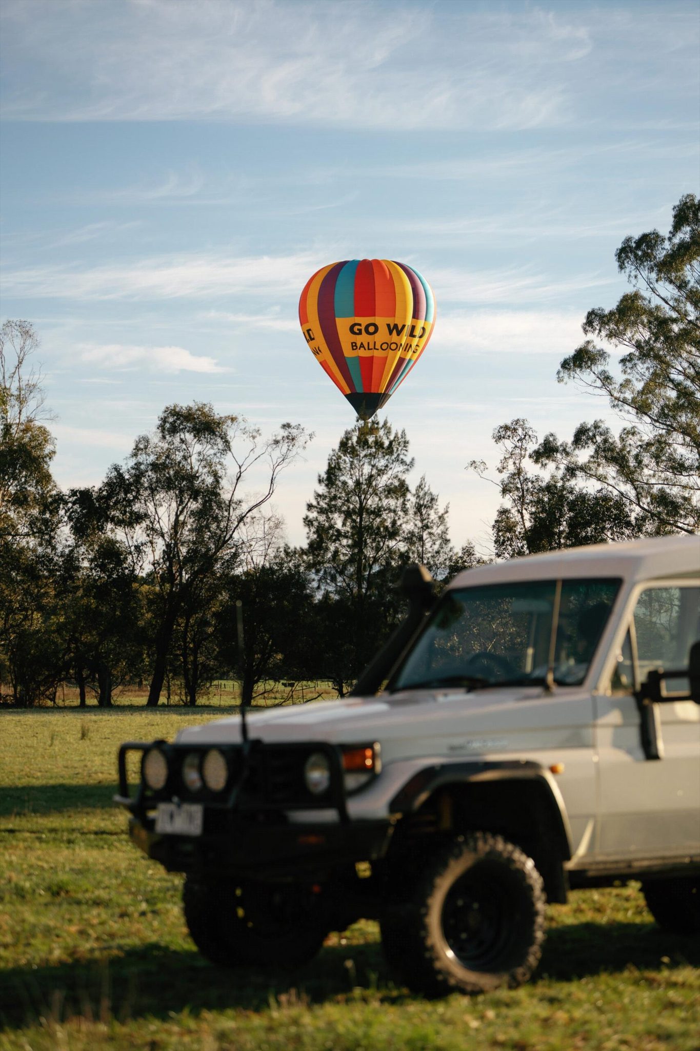 Go Wild Ballooning