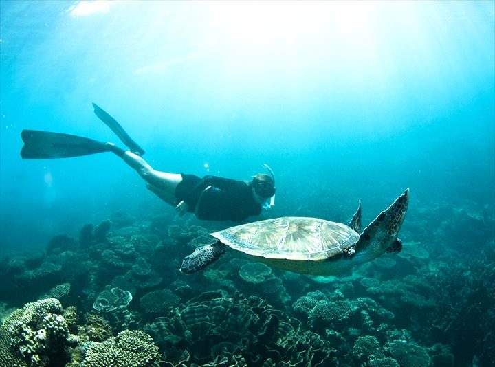 Ningaloo Discovery, Exmouth, Western Australia, photo 6