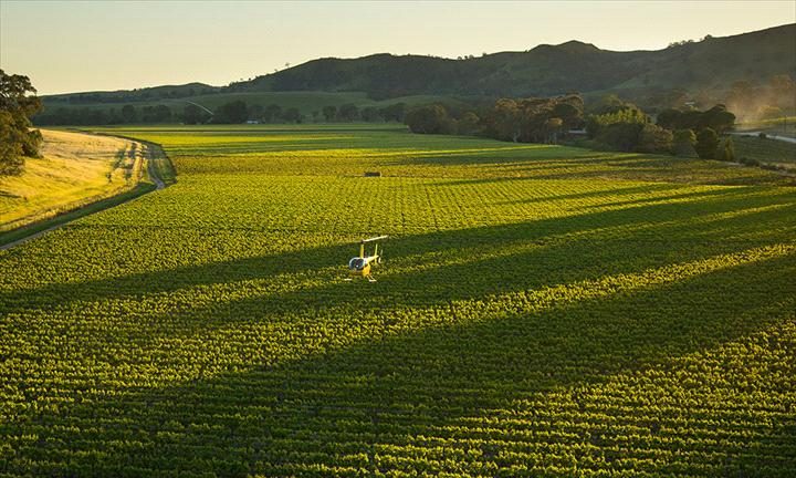 Barossa Helicopters, Lyndoch, South Australia, photo 6