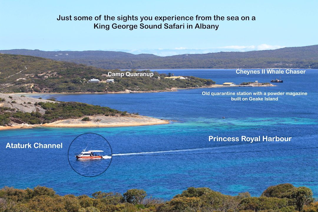 King George Sound Safari, Albany, Western Australia, photo 2