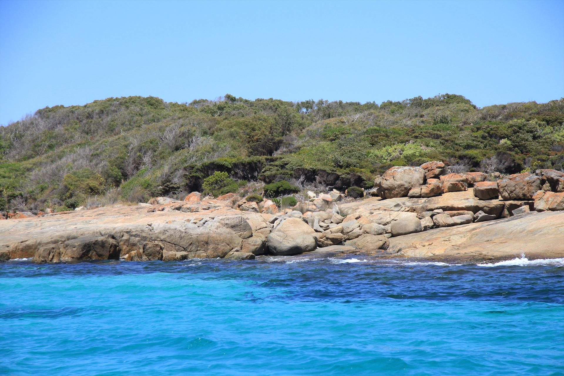 King George Sound Safari, Albany, Western Australia, photo 5