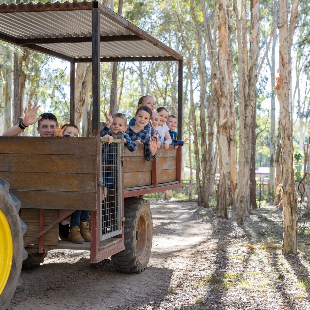 White Ridge Farm in Elimbah, QLD — photo 2