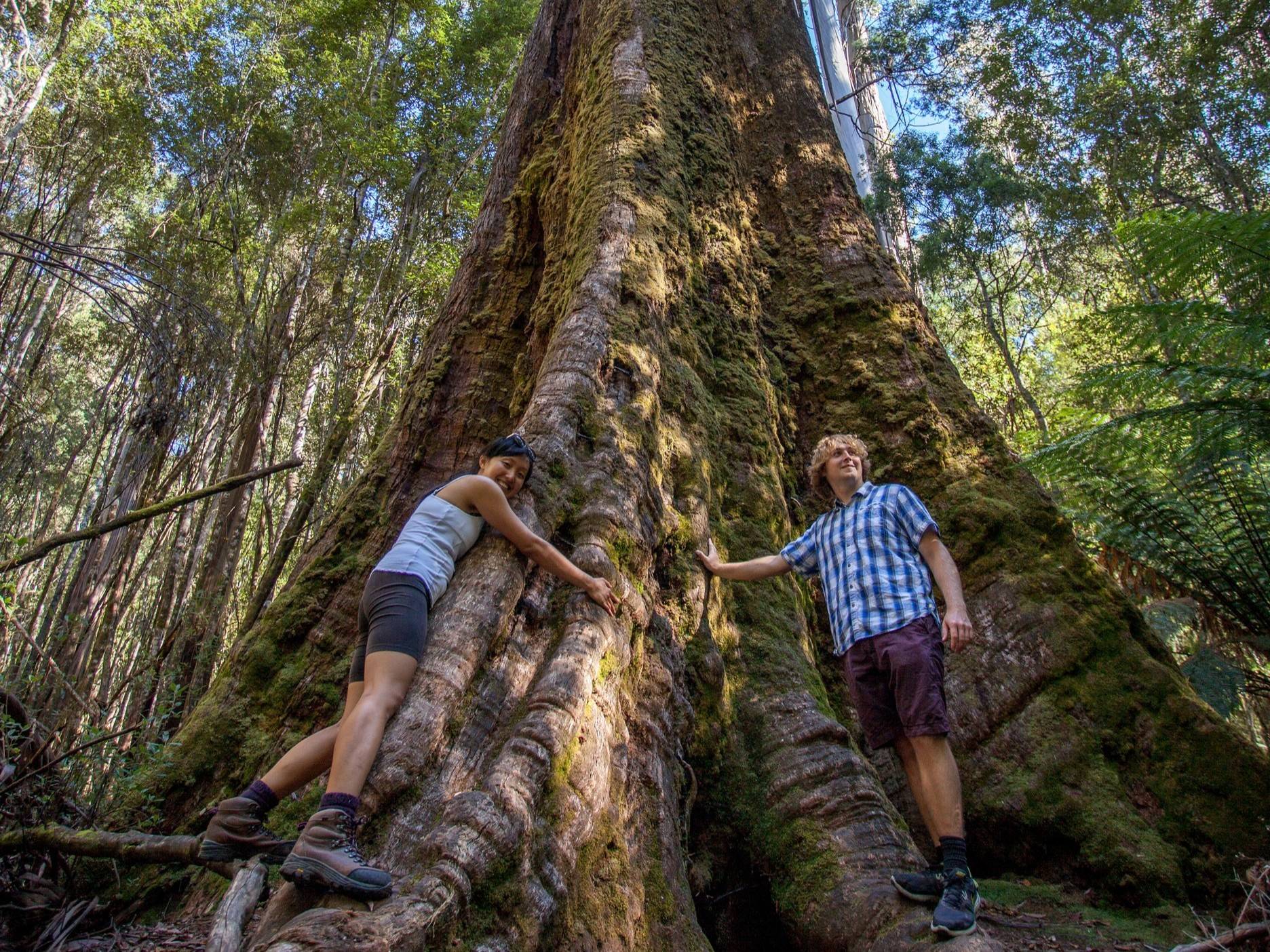 Tours Tasmania, Sandy Bay, Tasmania, photo 5