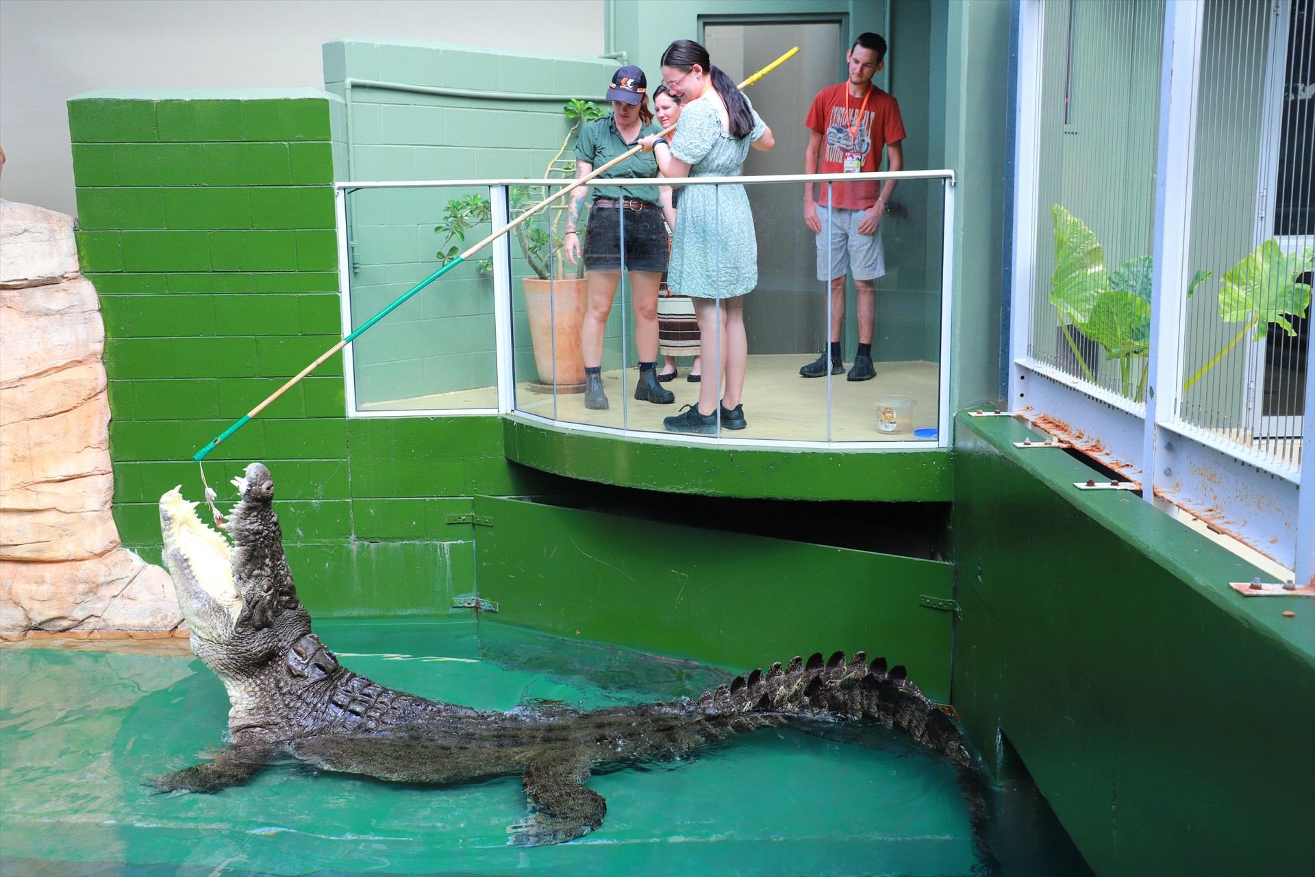 Crocosaurus Cove