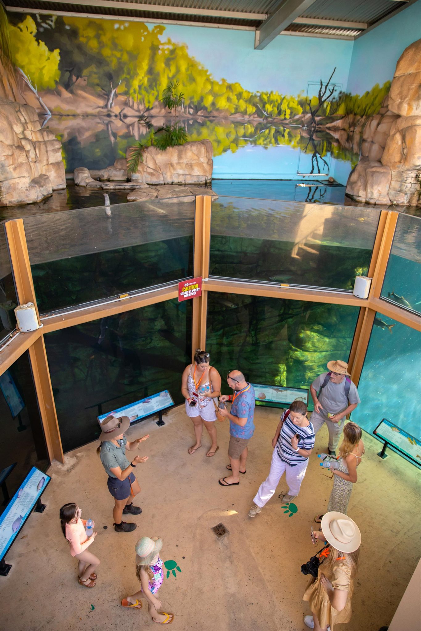 Crocosaurus Cove, Darwin, Northern Territory, photo 14