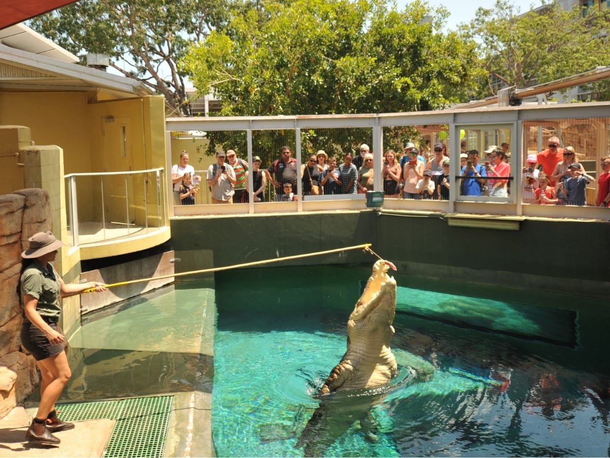 Crocosaurus Cove, Darwin, Northern Territory, photo 8
