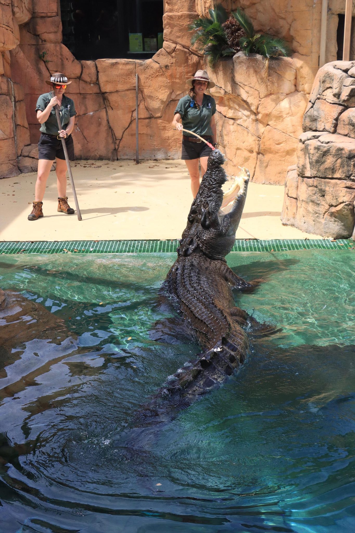 Crocosaurus Cove, Darwin, Northern Territory, photo 5