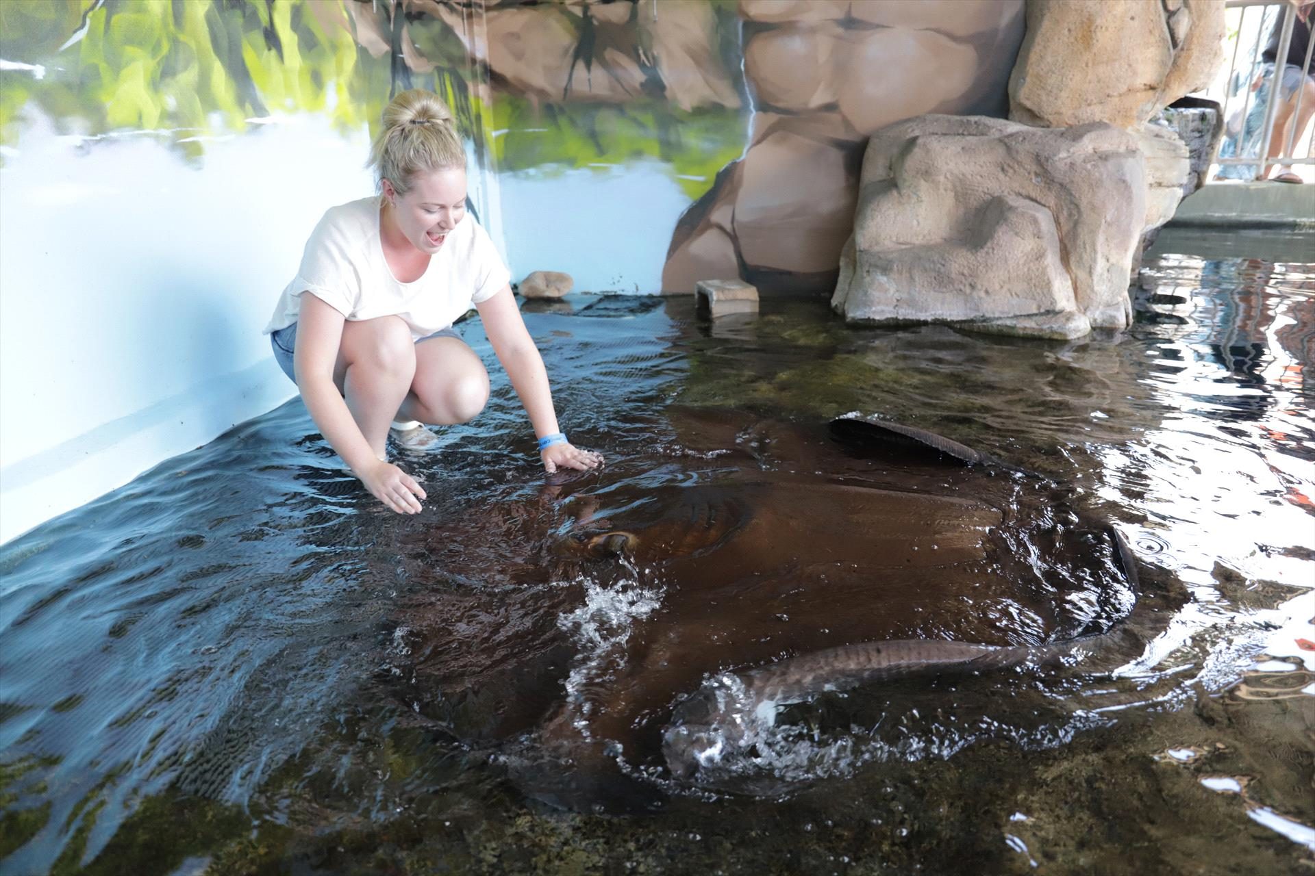 Crocosaurus Cove, Darwin, Northern Territory, photo 18