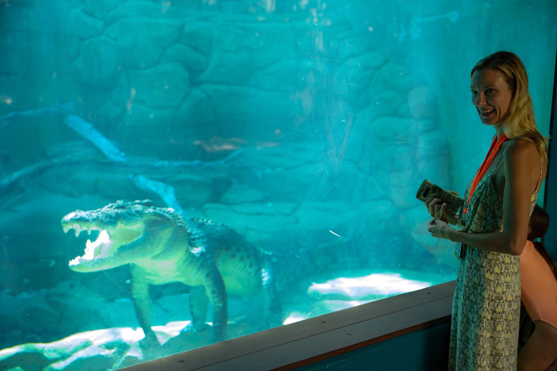 Crocosaurus Cove, Darwin, Northern Territory, photo 9