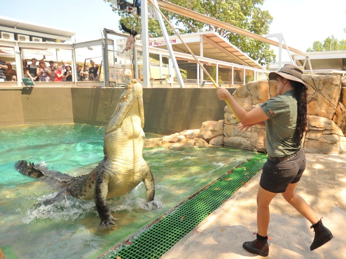 Crocosaurus Cove, Darwin, Northern Territory, photo 16
