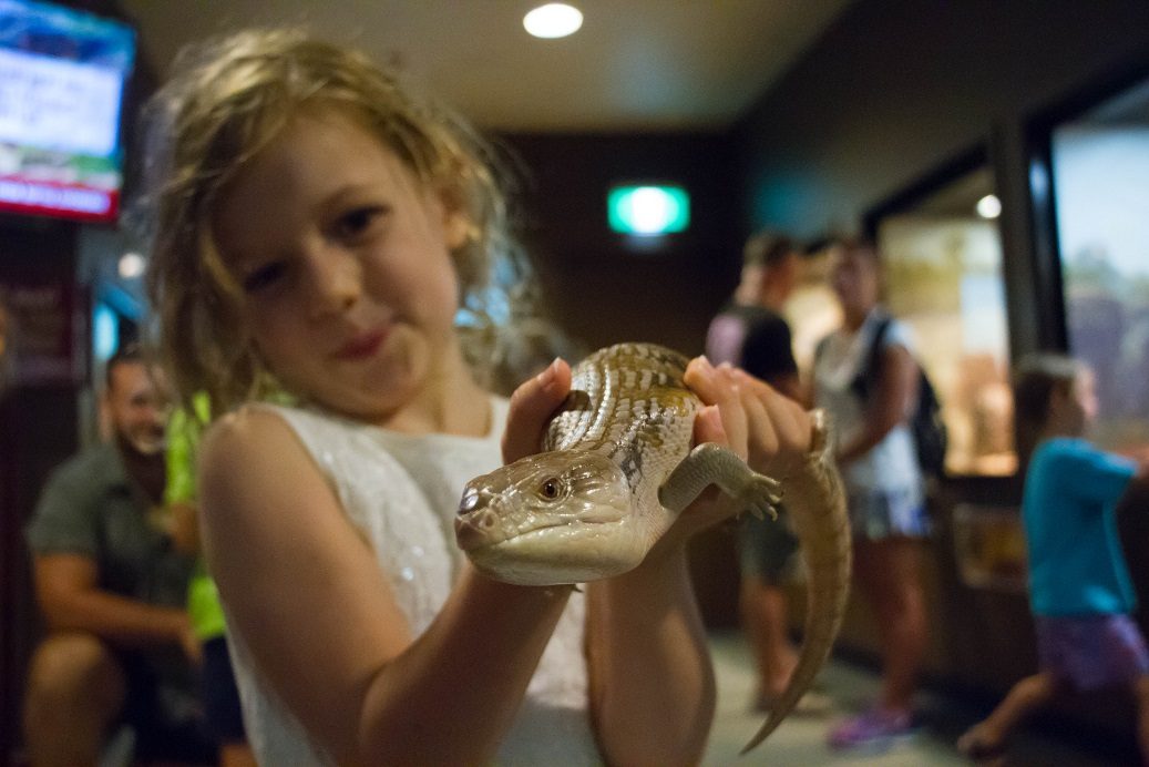 Crocosaurus Cove, Darwin, Northern Territory, photo 17