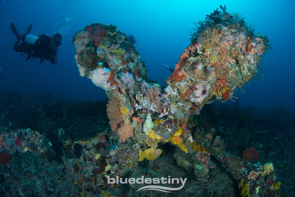 Blue Destiny Pty Ltd in Fremantle, WA — photo 5
