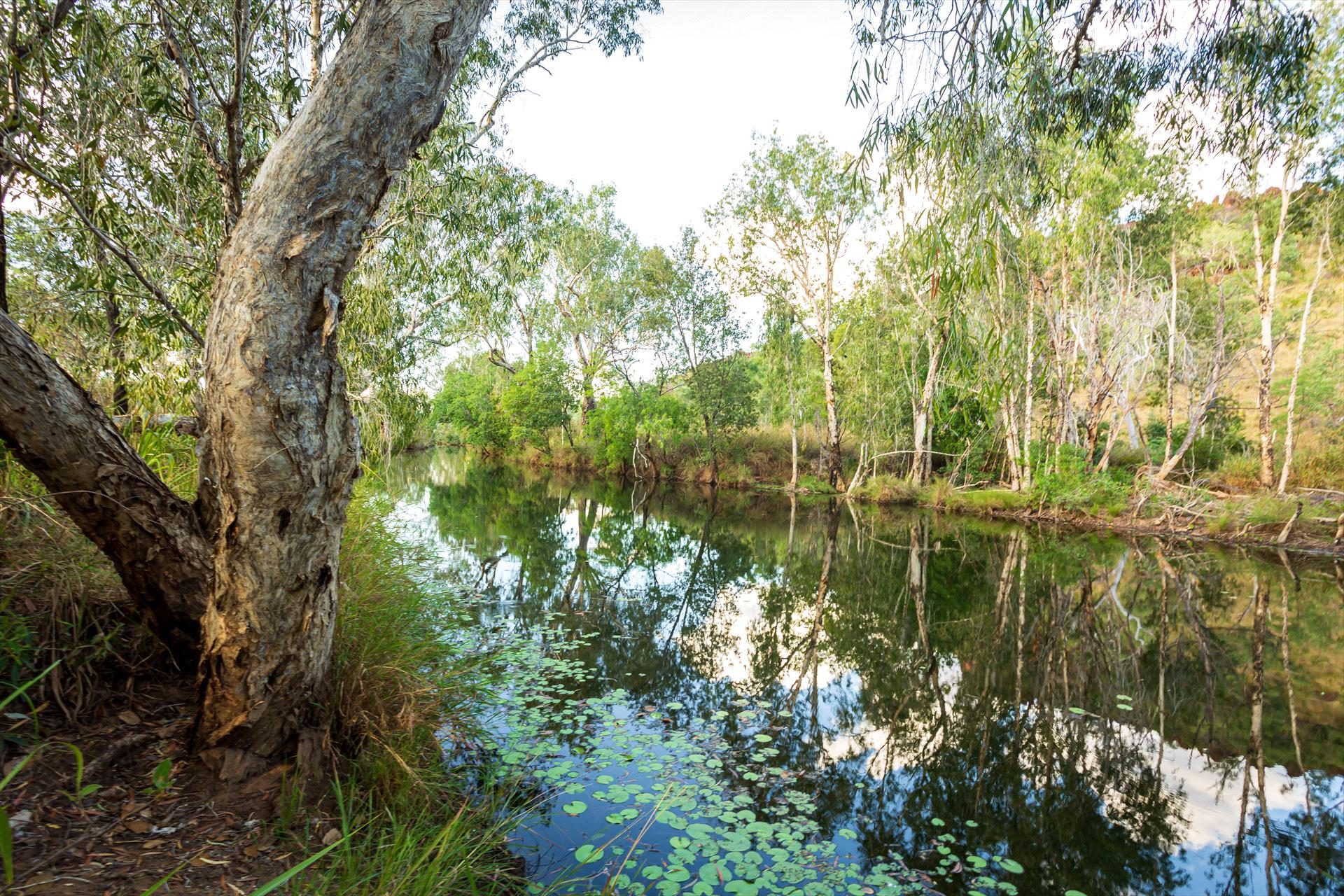 Air Kimberley, Broome, Western Australia, photo 5