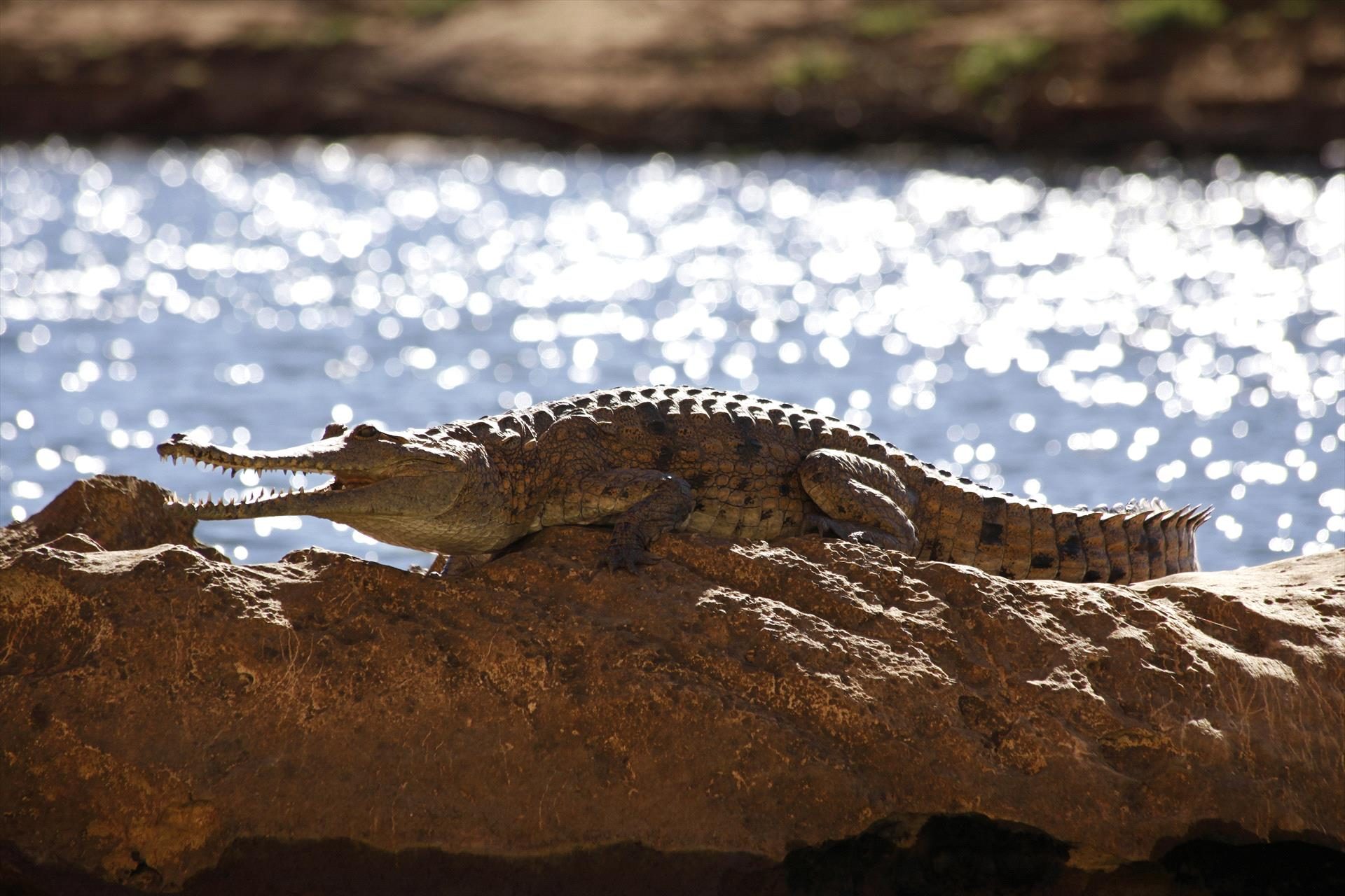Air Kimberley, Broome, Western Australia, photo 3