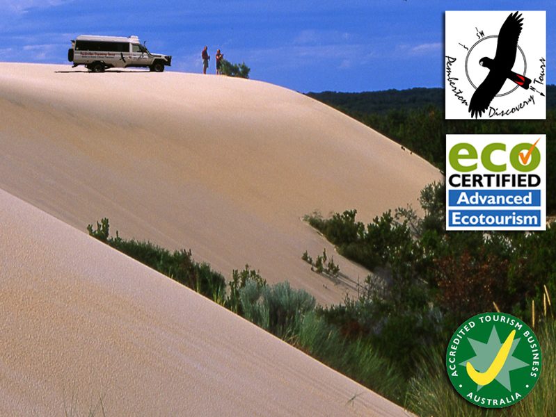 Pemberton Discovery Tours, Pemberton, Western Australia, photo 2
