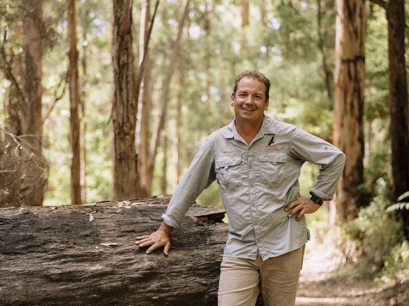 Pemberton Discovery Tours, Pemberton, Western Australia, photo 3