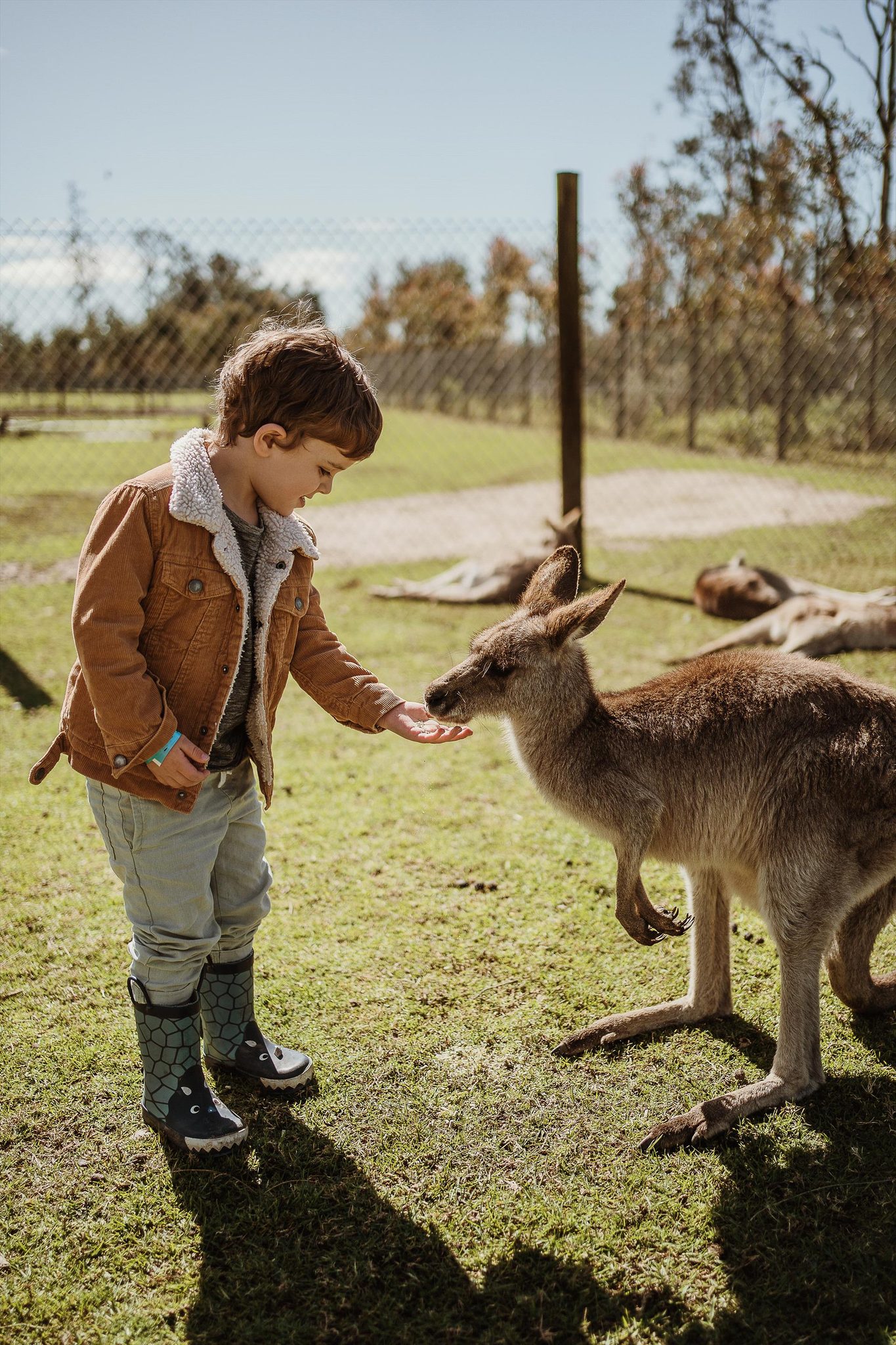 Oakvale Wildlife Park, Salt Ash, New South Wales, photo 5