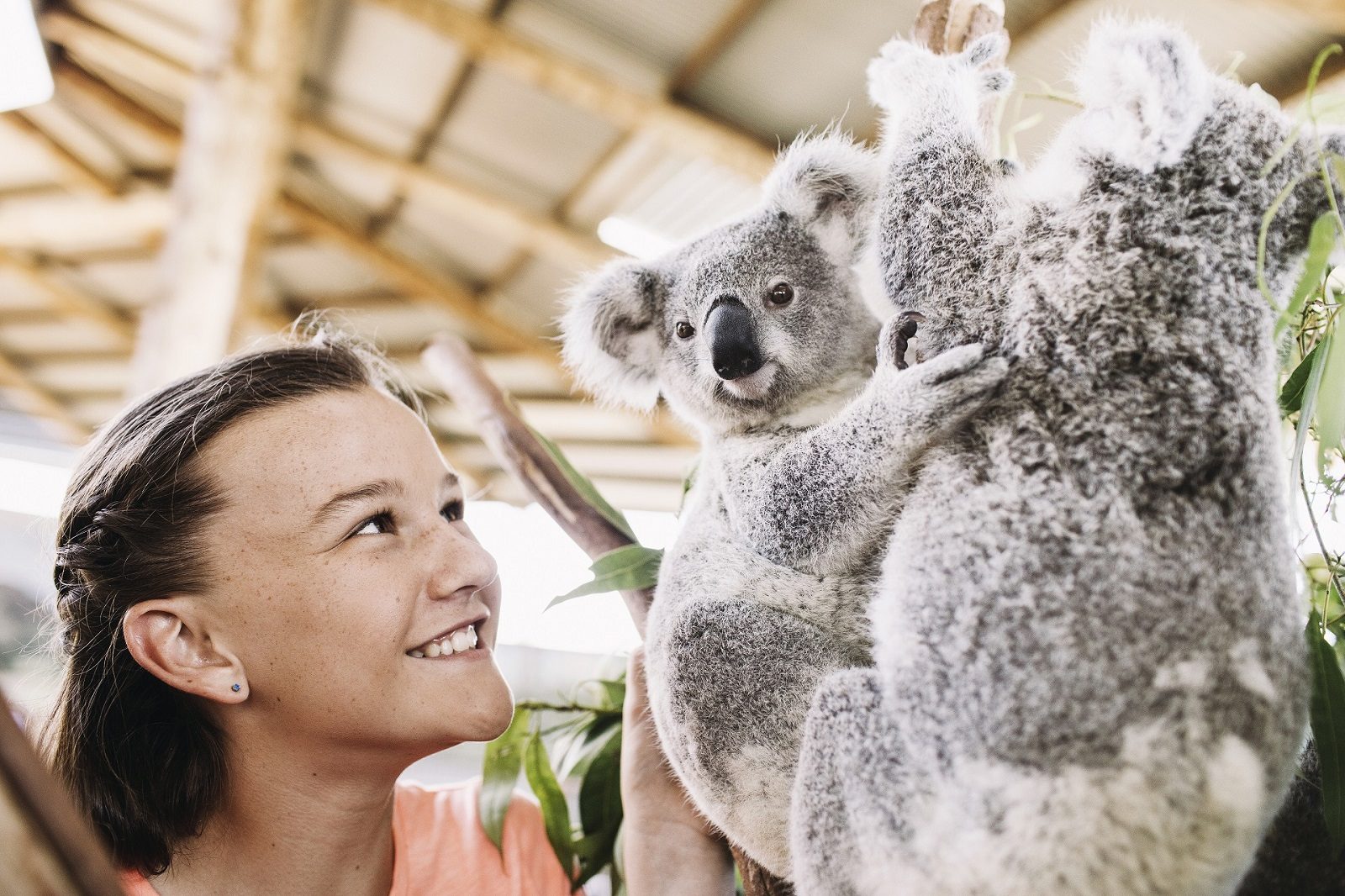 Oakvale Wildlife Park, Salt Ash, New South Wales, photo 2