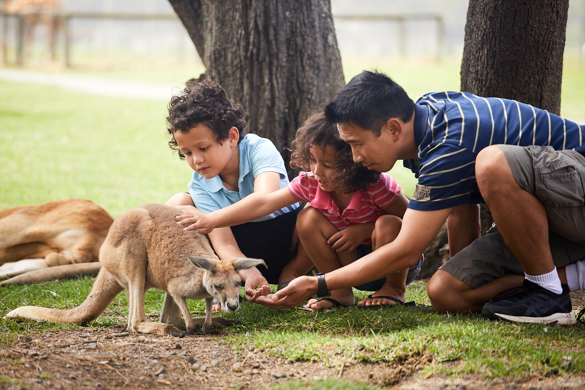 Oakvale Wildlife Park