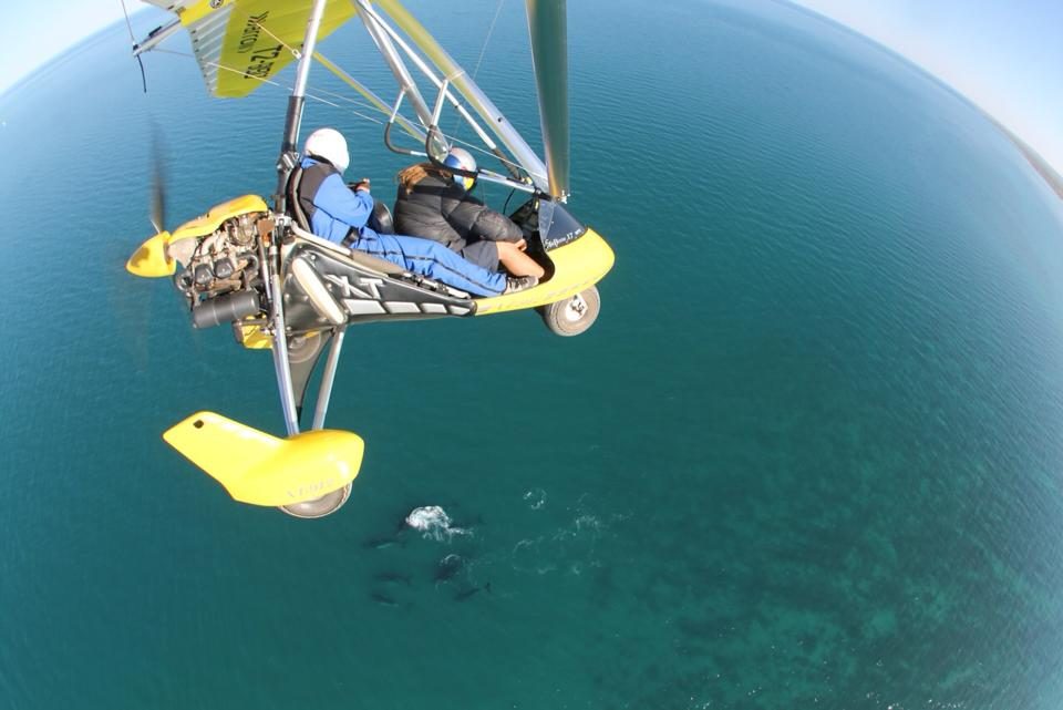 Birds Eye View Ningaloo