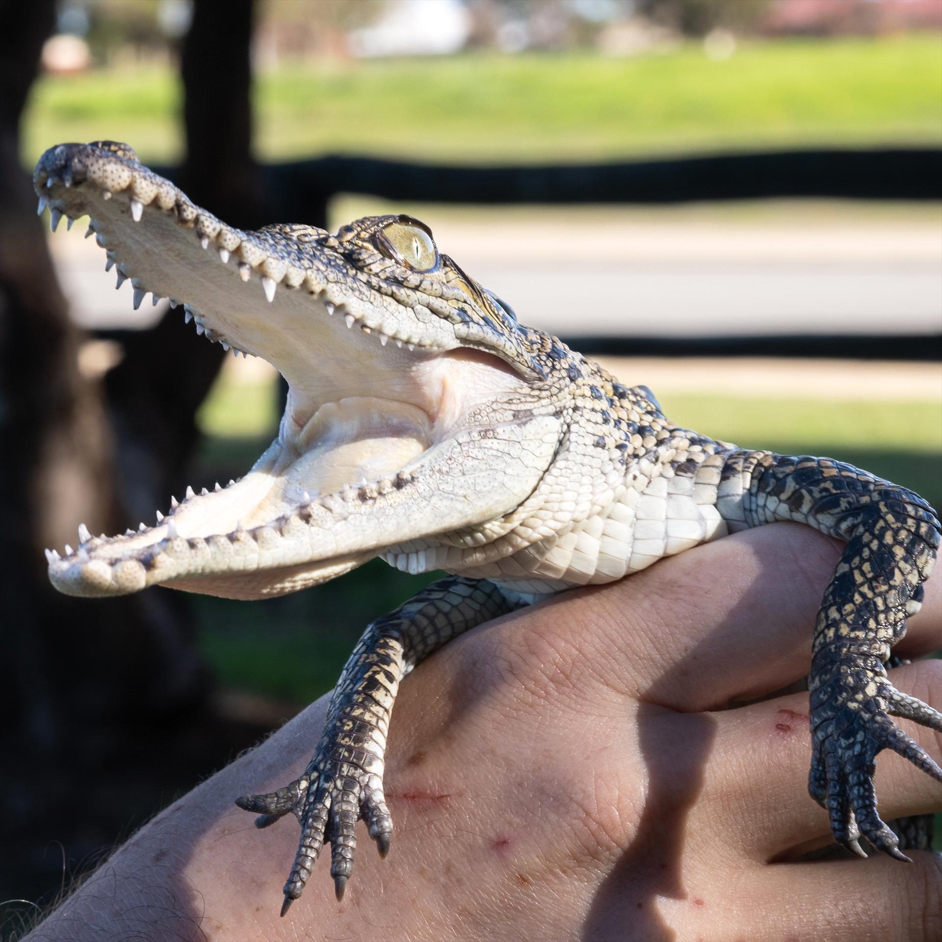 Ranger Red's Zoo & Conservation Park — Pinjarra, WA
