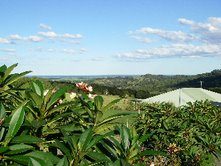 Alstonville Country Cottages — Alstonville, NSW