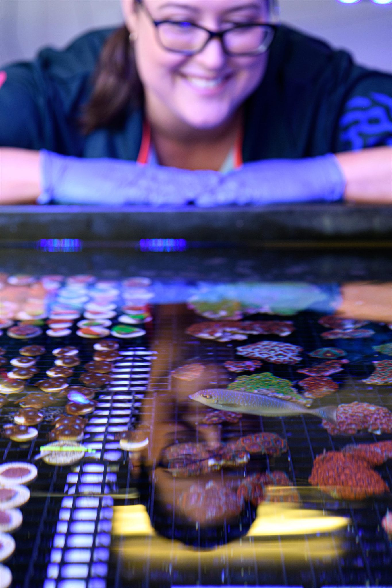 Monsoon Aquatics, Burnett Heads, Queensland, photo 5